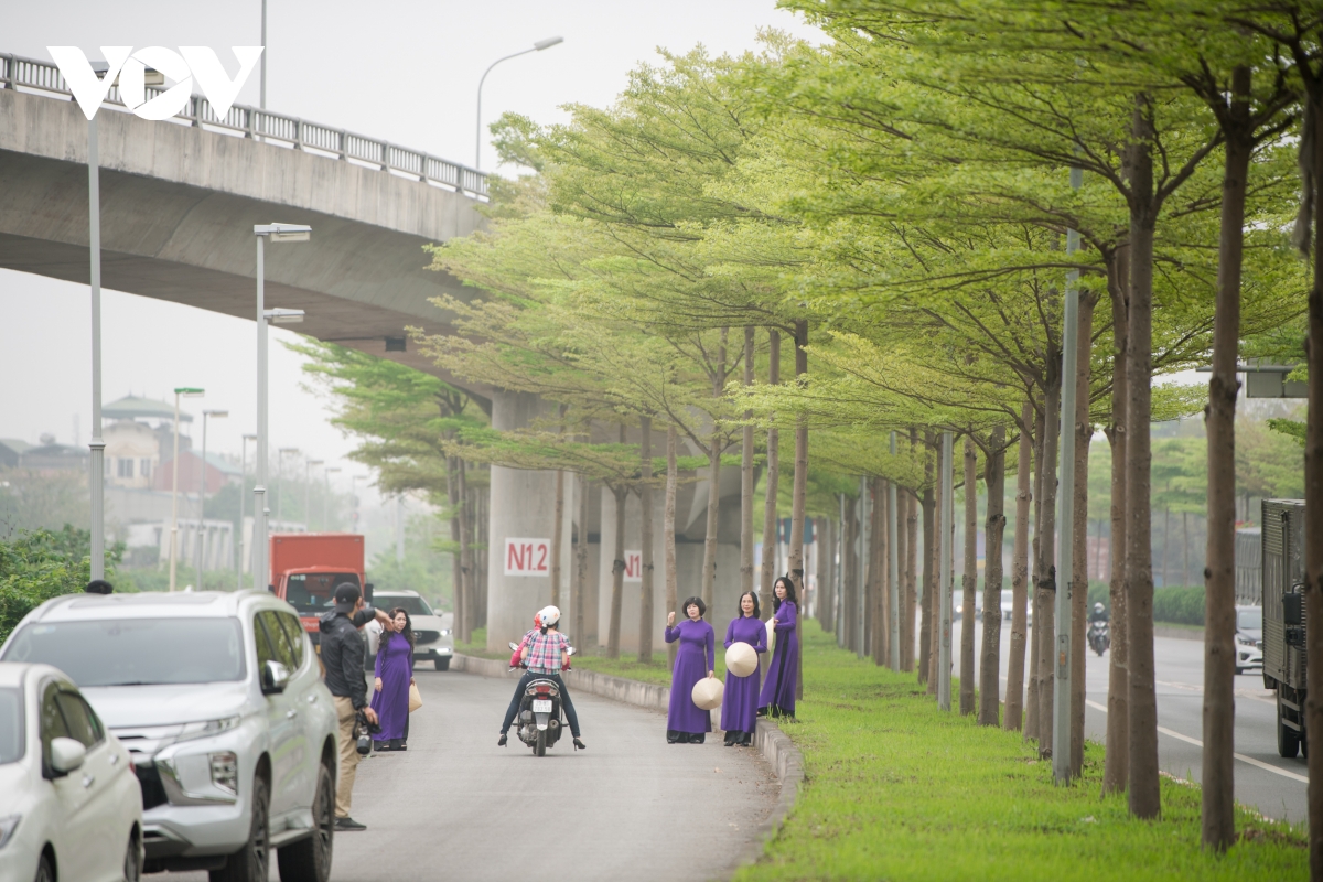 Đùa giỡn tử thần, ngang nhiên đứng giữa đường để chụp ảnh cùng hàng cây bàng Đài Loan - Ảnh 4.