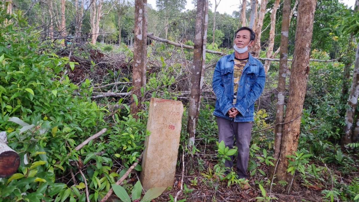 Khởi tố, bắt giam nhiều đối tượng phá rừng bao chiếm đất ở Phú Quốc - Ảnh 5.