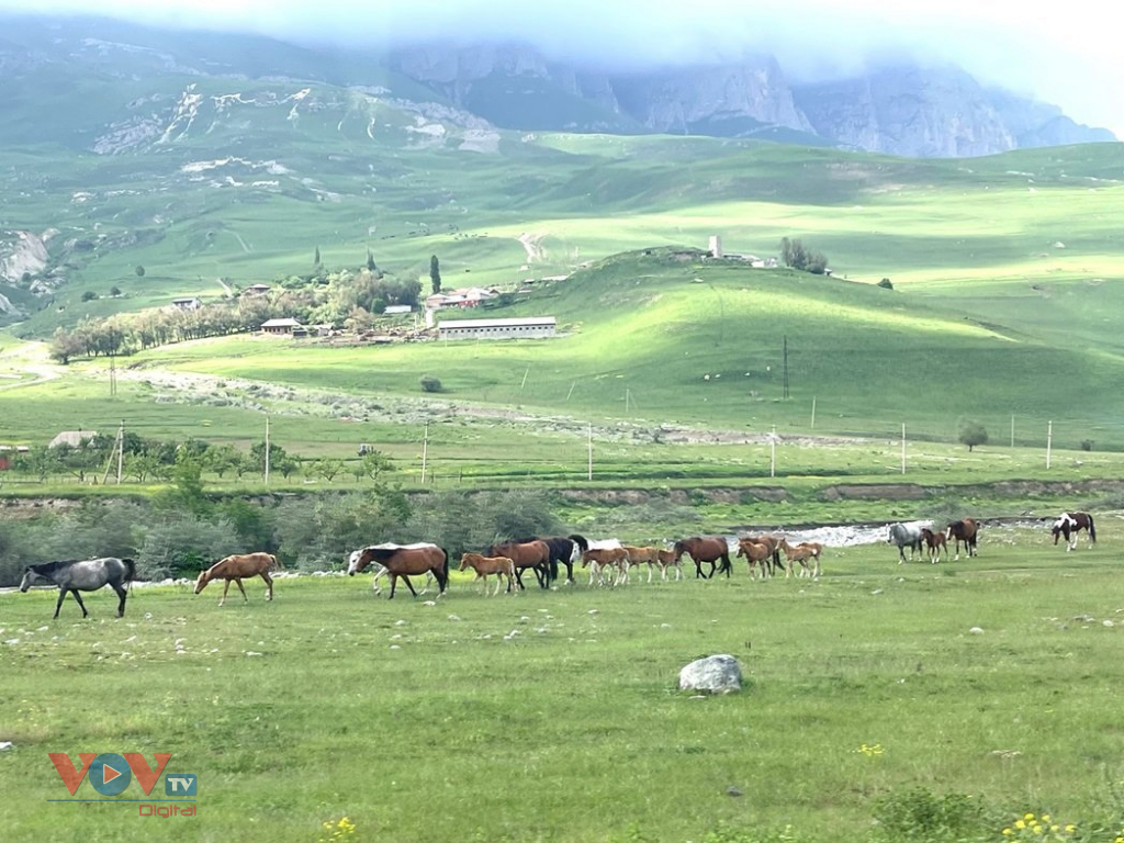 Thiên nhiên tuyệt đẹp vùng Bắc Kavkaz hấp dẫn du khách  - Ảnh 7.