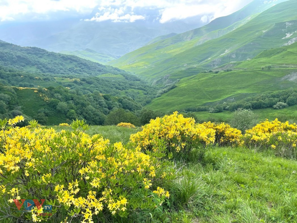 Thiên nhiên tuyệt đẹp vùng Bắc Kavkaz hấp dẫn du khách  - Ảnh 6.