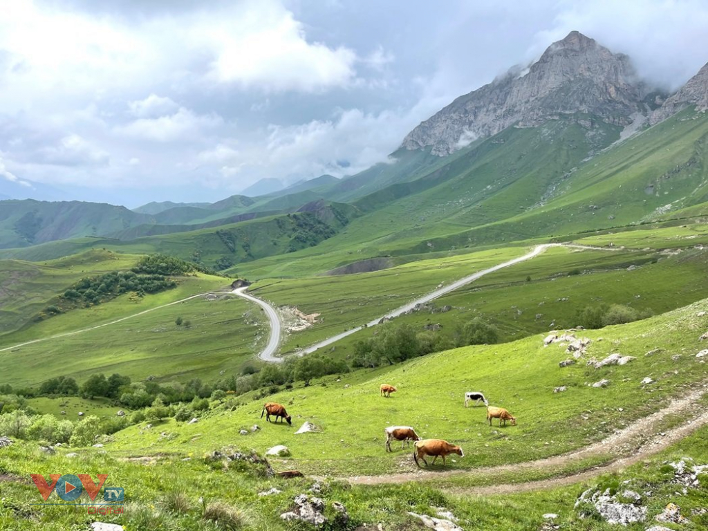 Thiên nhiên tuyệt đẹp vùng Bắc Kavkaz hấp dẫn du khách  - Ảnh 3.