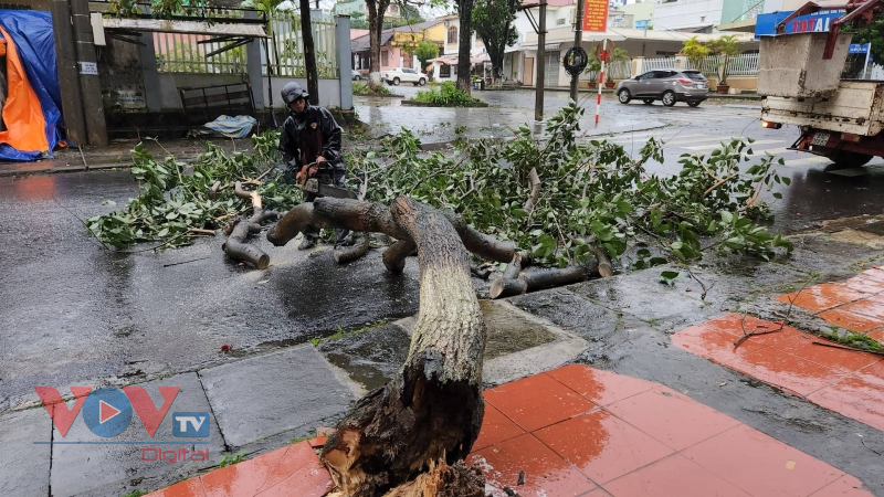 Gia Lai: Những thiệt hại ban đầu do bão số 4 gây ra - Ảnh 7.