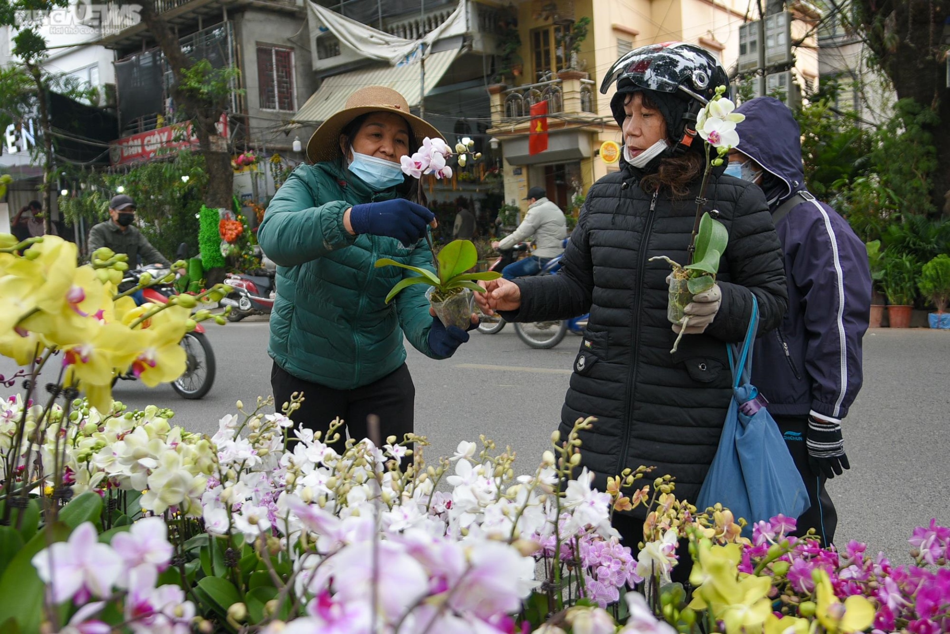 Chợ hoa Hà Nội tấp nập kẻ bán người mua ngày cận Tết - Ảnh 3.