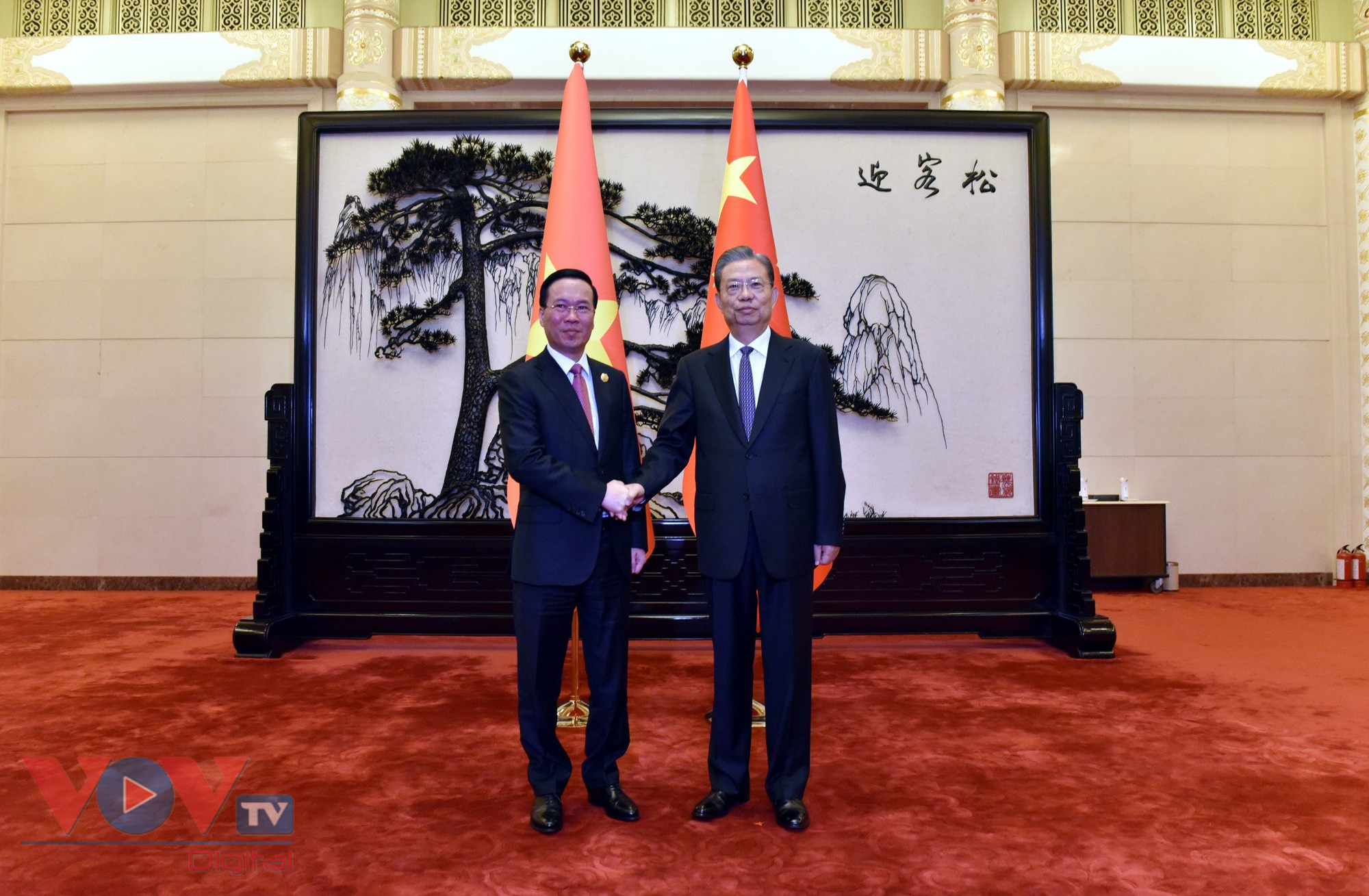 Chủ tịch nước hội kiến Ủy viên trưởng Nhân đại toàn quốc Trung Quốc - Ảnh 1.