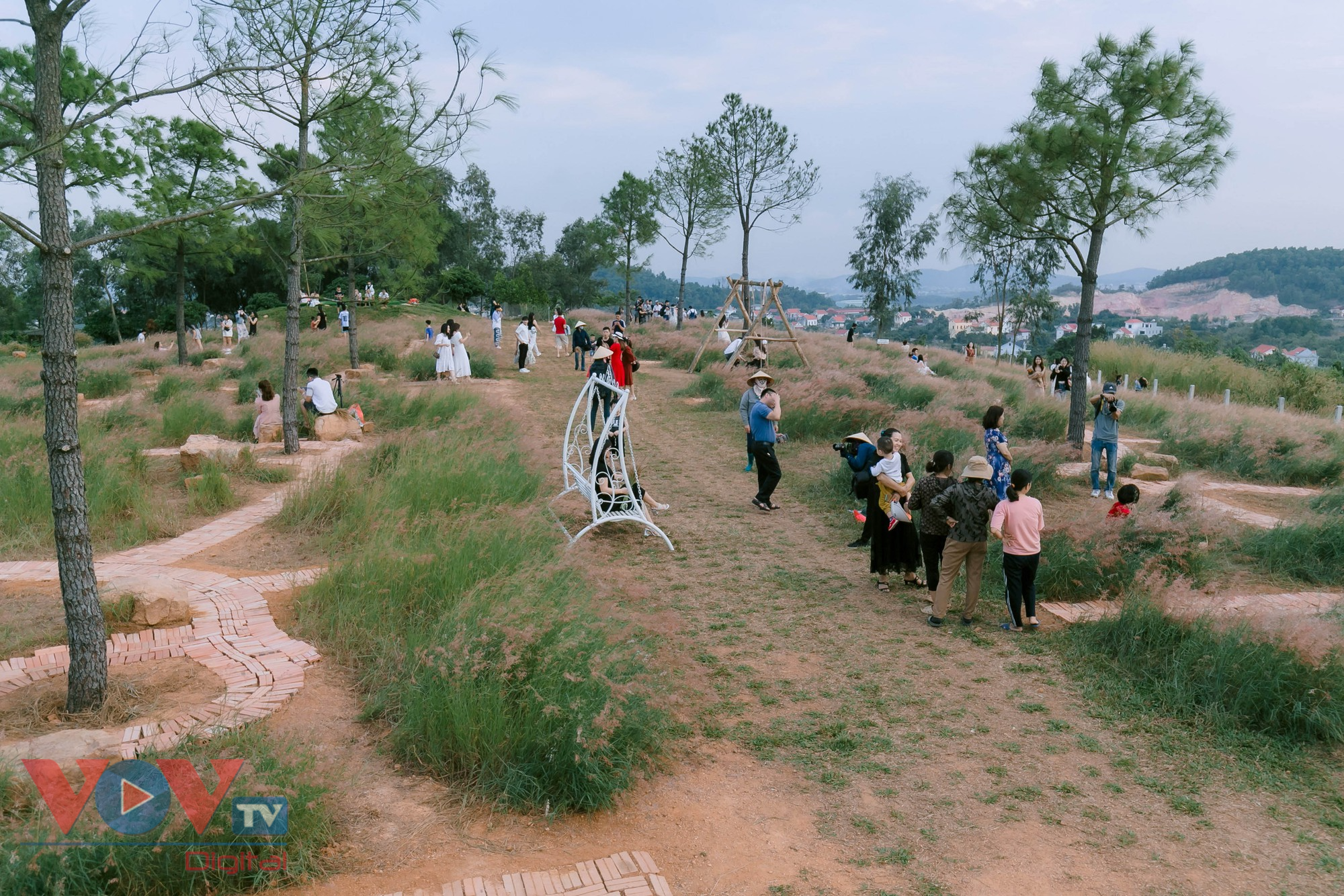 Check-in đồi cỏ hồng đẹp như lạc vào xứ sở cổ tích ở Chí Linh- Ảnh 1.