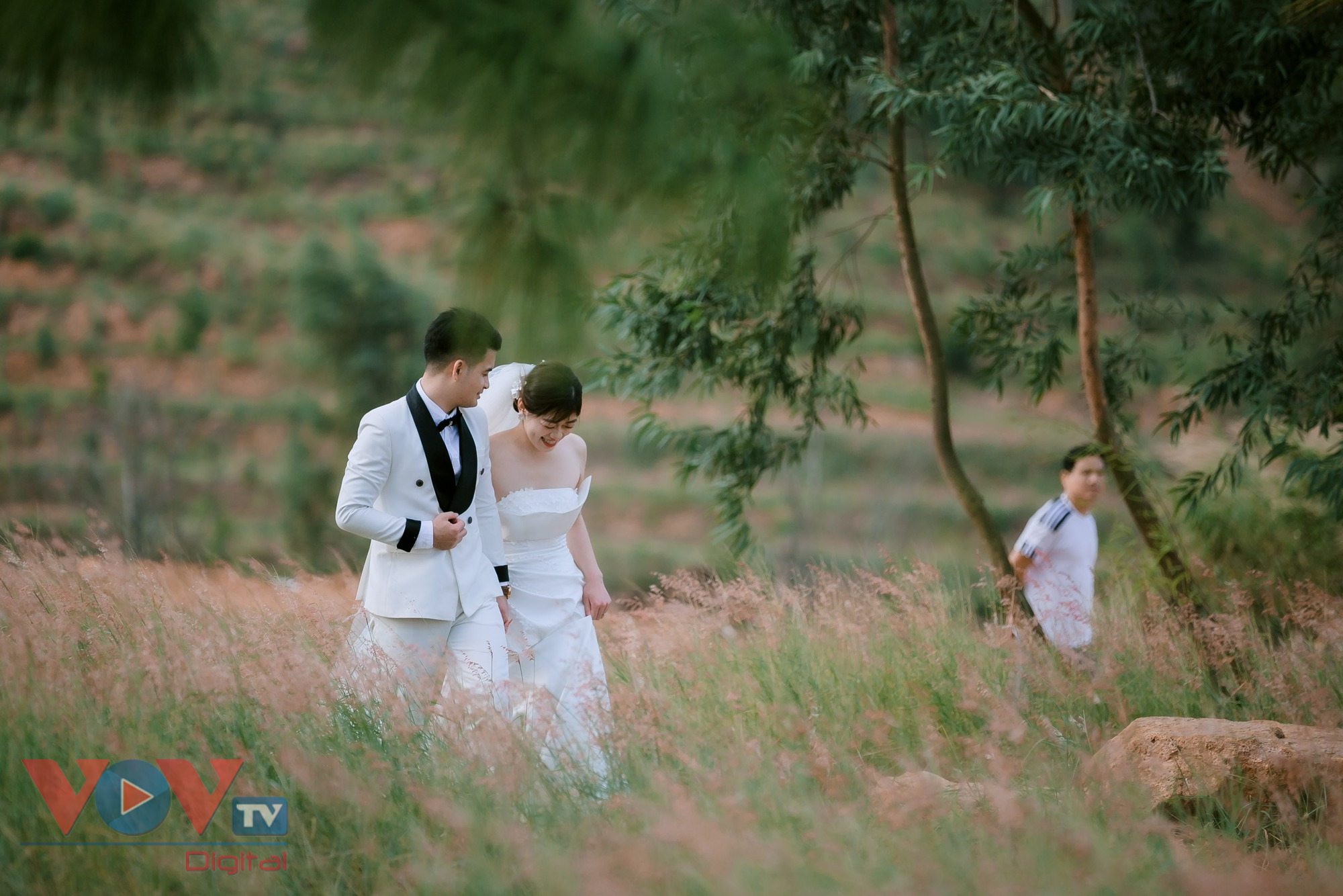 Check-in đồi cỏ hồng đẹp như lạc vào xứ sở cổ tích ở Chí Linh- Ảnh 7.