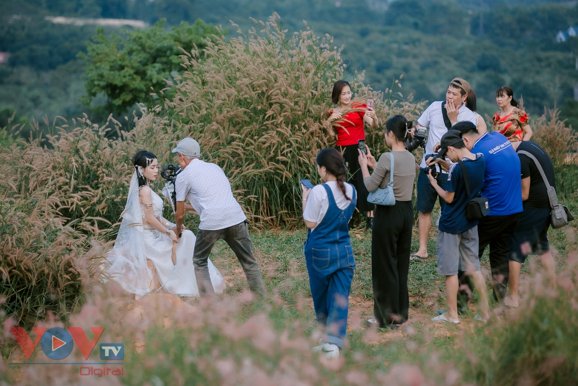 Check-in đồi cỏ hồng đẹp như lạc vào xứ sở cổ tích ở Chí Linh- Ảnh 11.