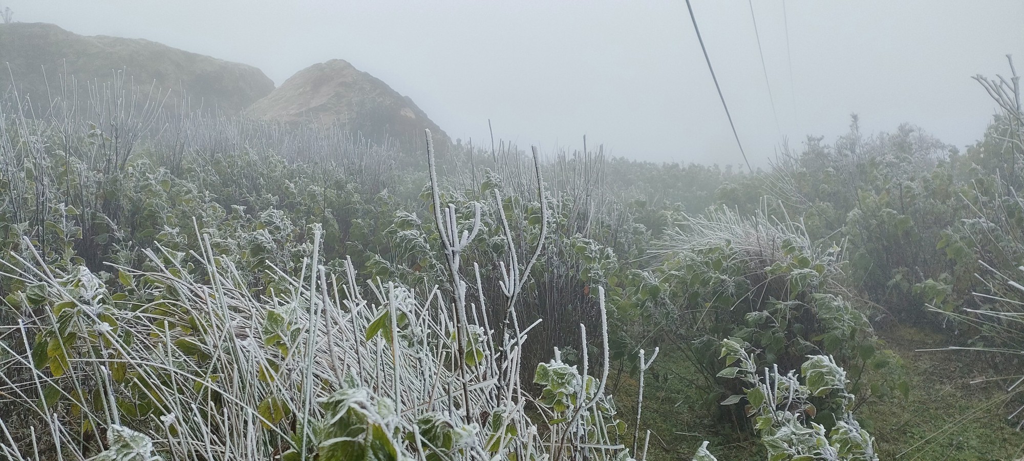 Xuất hiện băng giá trên các đỉnh núi cao ở Lào Cai, Yên Bái- Ảnh 3.