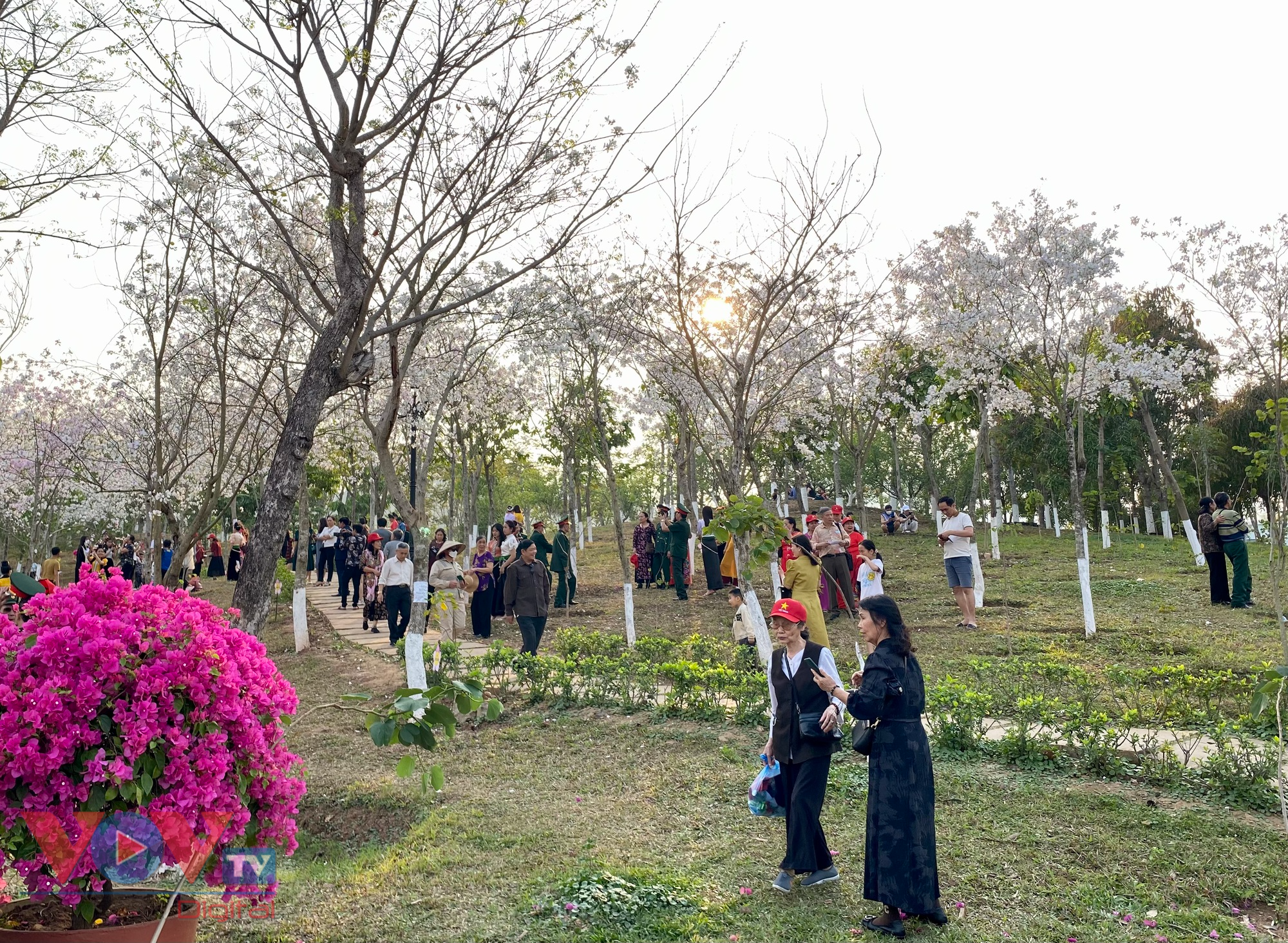 Mùa hoa ban thành phố Sơn La năm 2023 chính thức khai hội - Ảnh 7.