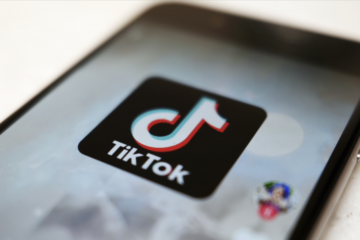 Séc: Cả Thượng viện và Hạ viện đã cấm nhân viên sử dụng TikTok - Ảnh 1.