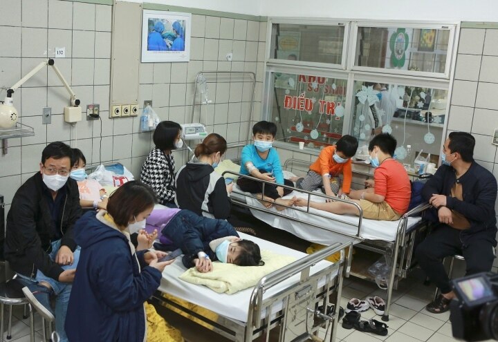 72 học sinh tiểu học ở Hà Nội bị ngộ độc do món gà nhiễm vi khuẩn tụ cầu vàng - Ảnh 1.