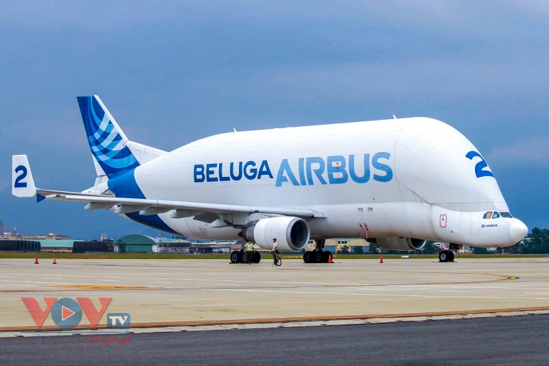 Ngắm máy bay siêu vận tải của hãng Airbus lần đầu đáp ở sân bay Đà Nẵng  - Ảnh 2.