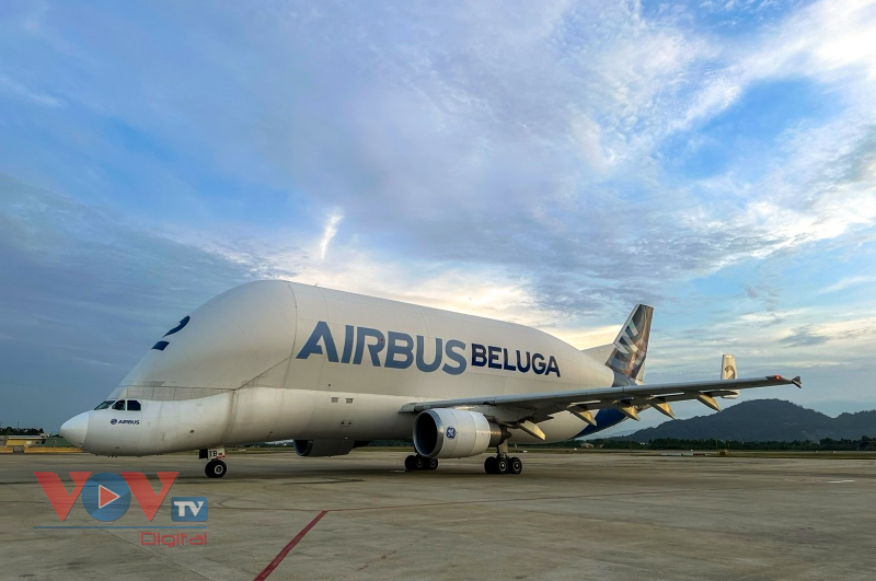 Ngắm máy bay siêu vận tải của hãng Airbus lần đầu đáp ở sân bay Đà Nẵng  - Ảnh 5.