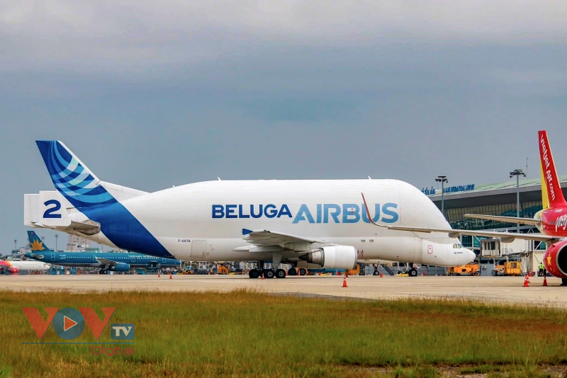 Ngắm máy bay siêu vận tải của hãng Airbus lần đầu đáp ở sân bay Đà Nẵng  - Ảnh 8.