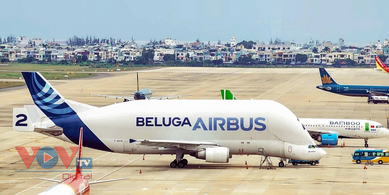 Ngắm máy bay siêu vận tải của hãng Airbus lần đầu đáp ở sân bay Đà Nẵng  - Ảnh 9.