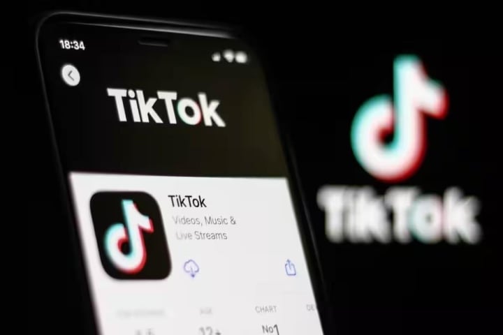 TikTok sẽ bị kiểm tra toàn diện tại Việt Nam từ 15/5 - Ảnh 1.