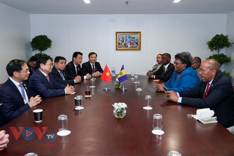 Thủ tướng Chính phủ Phạm Minh Chính gặp Thủ tướng New Zealand, Mông Cổ và Barbados - Ảnh 6.