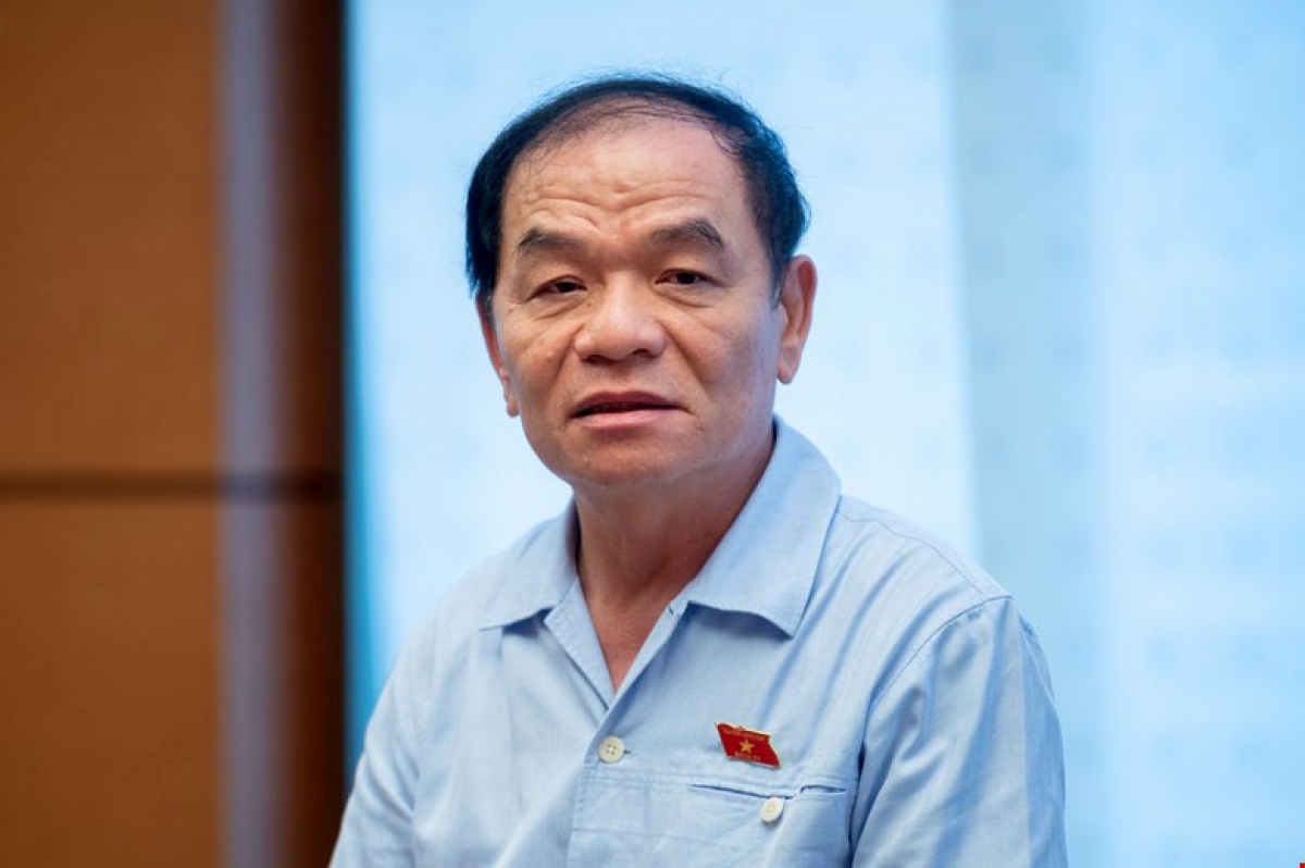 ĐBQH Lê Thanh Vân đề nghị Chính phủ thanh tra đặc biệt EVN - Ảnh 1.