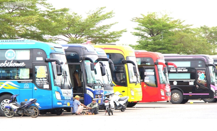Xe khách ở Đà Nẵng 'lập kỷ lục' vi phạm tốc độ hơn 600 lần trong 1 tháng - Ảnh 1.