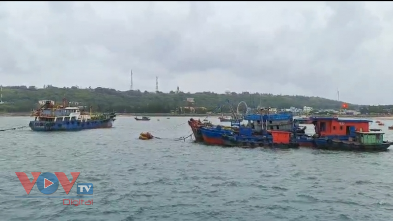Quảng Ninh, Hải Phòng: Hàng nghìn lao động trên biển đã lên bờ an toàn - Ảnh 5.