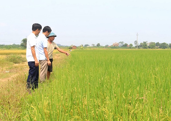 Phú Thọ: Huyện Thanh Ba tiến sát đích nông thôn mới - Ảnh 1.