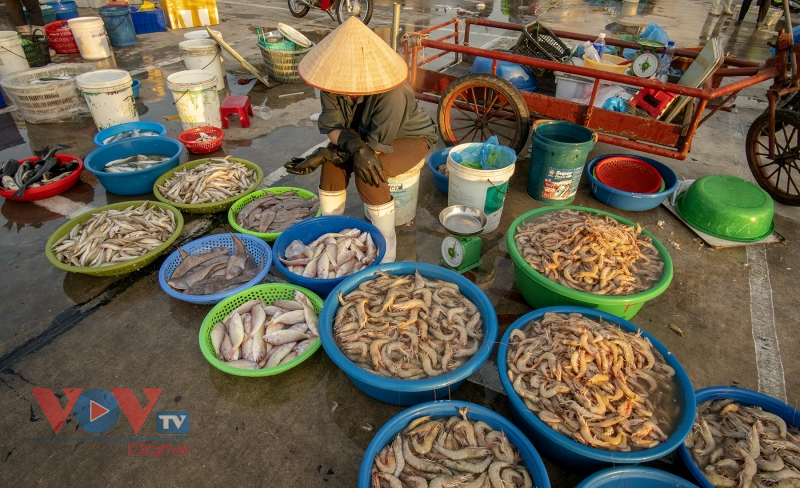 Chợ cá hừng đông bên vịnh Bái Tử Long - Ảnh 7.