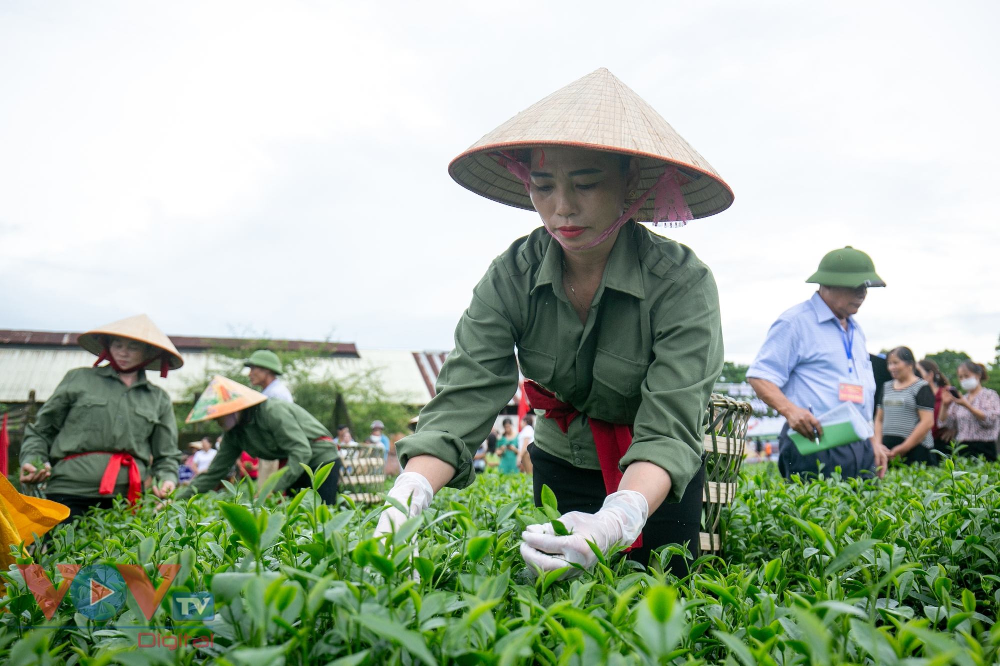 Quảng Ninh: Tưng bừng cuộc thi hái chè tại ngày hội văn hóa du lịch trà Đường Hoa - Ảnh 6.