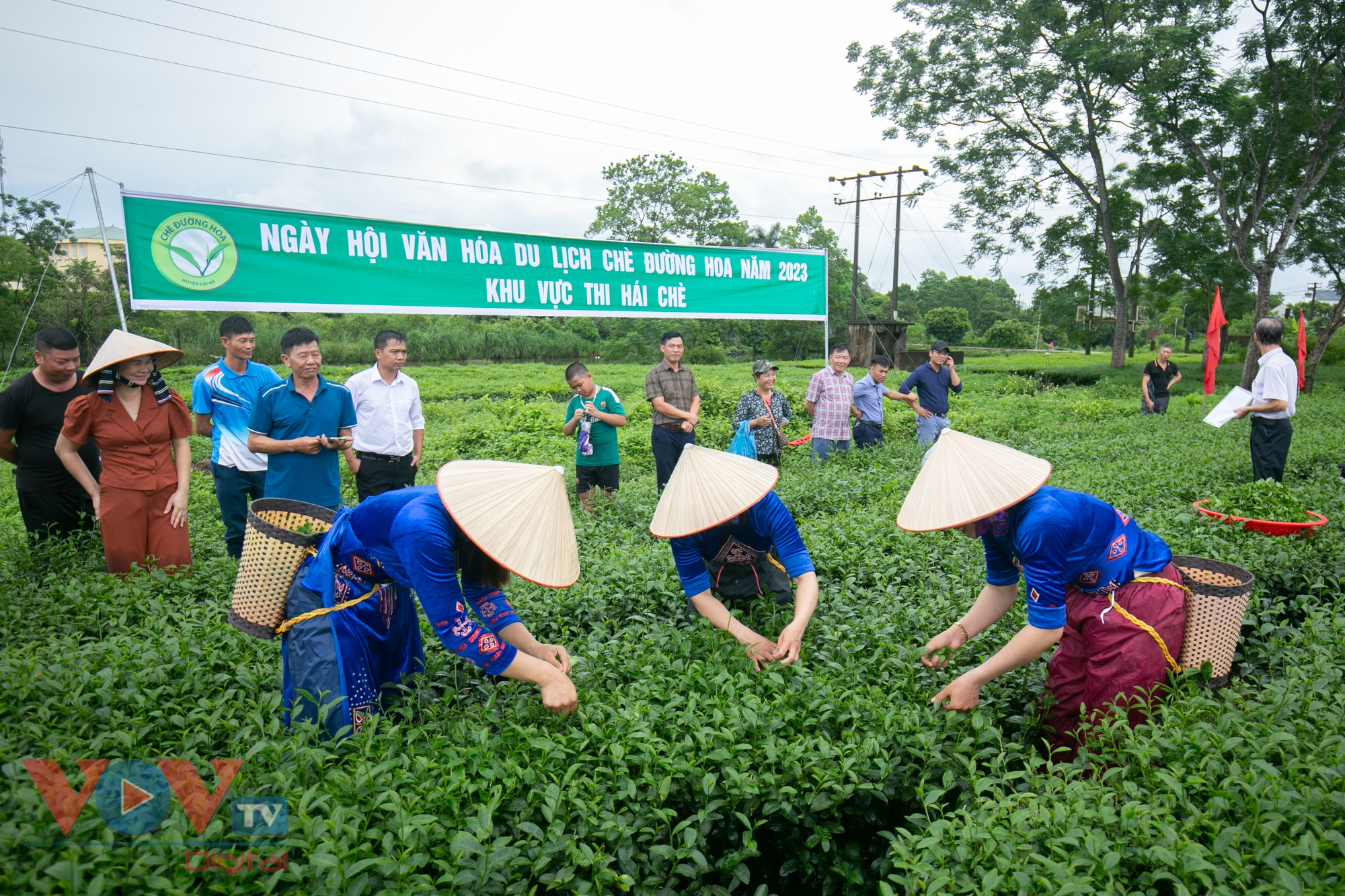 Quảng Ninh: Tưng bừng cuộc thi hái chè tại ngày hội văn hóa du lịch trà Đường Hoa - Ảnh 8.