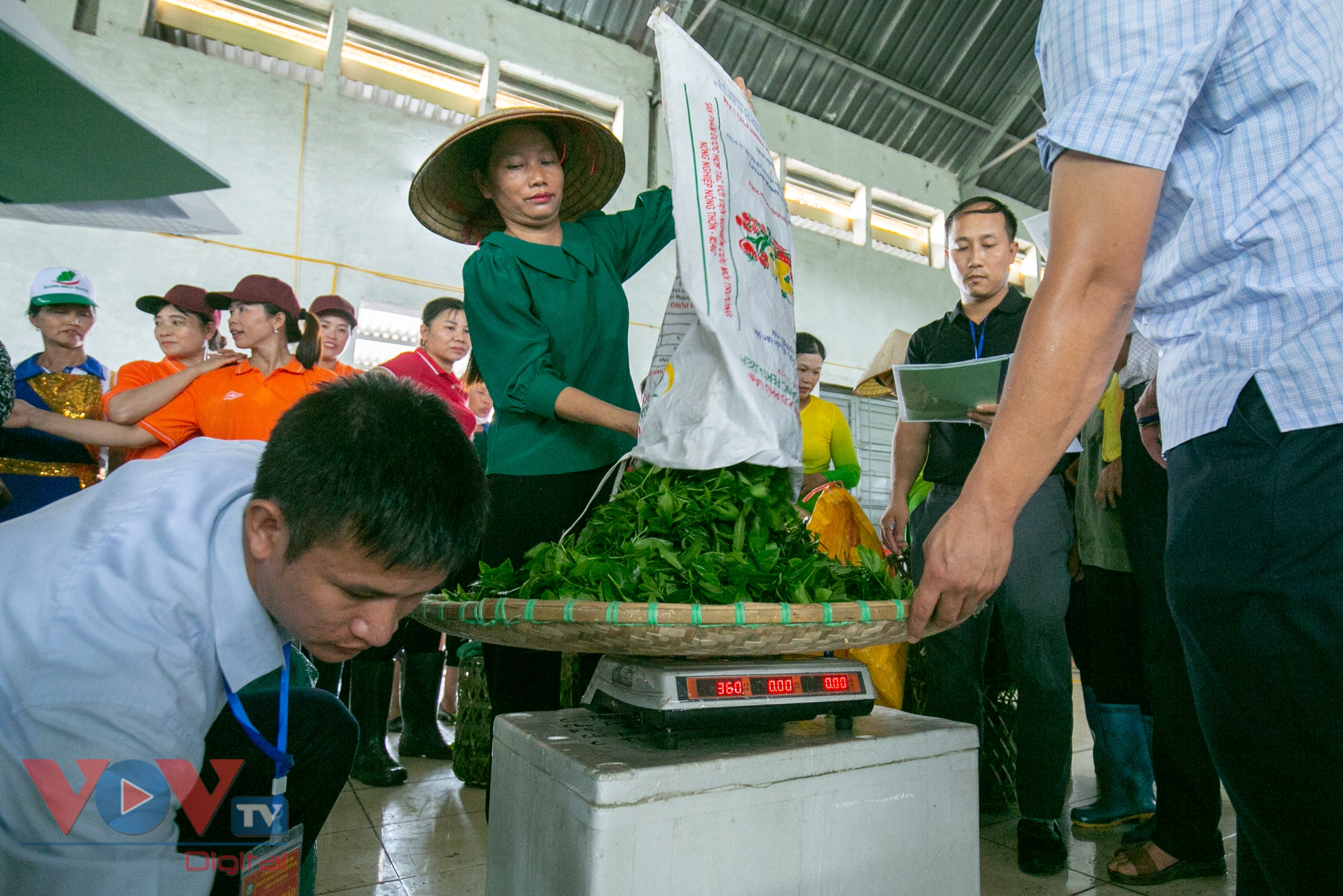 Quảng Ninh: Tưng bừng cuộc thi hái chè tại ngày hội văn hóa du lịch trà Đường Hoa - Ảnh 11.