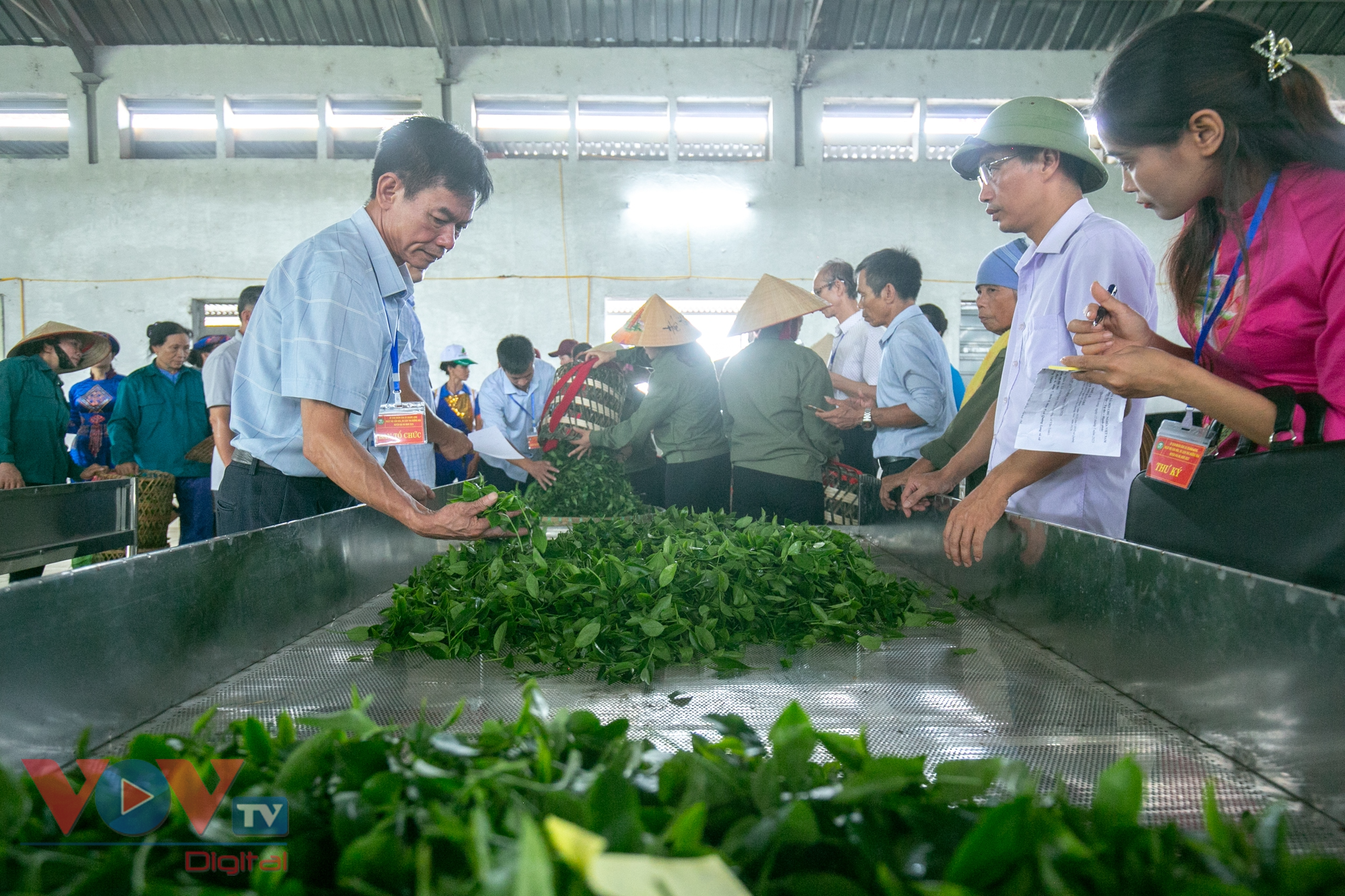 Quảng Ninh: Tưng bừng cuộc thi hái chè tại ngày hội văn hóa du lịch trà Đường Hoa - Ảnh 12.