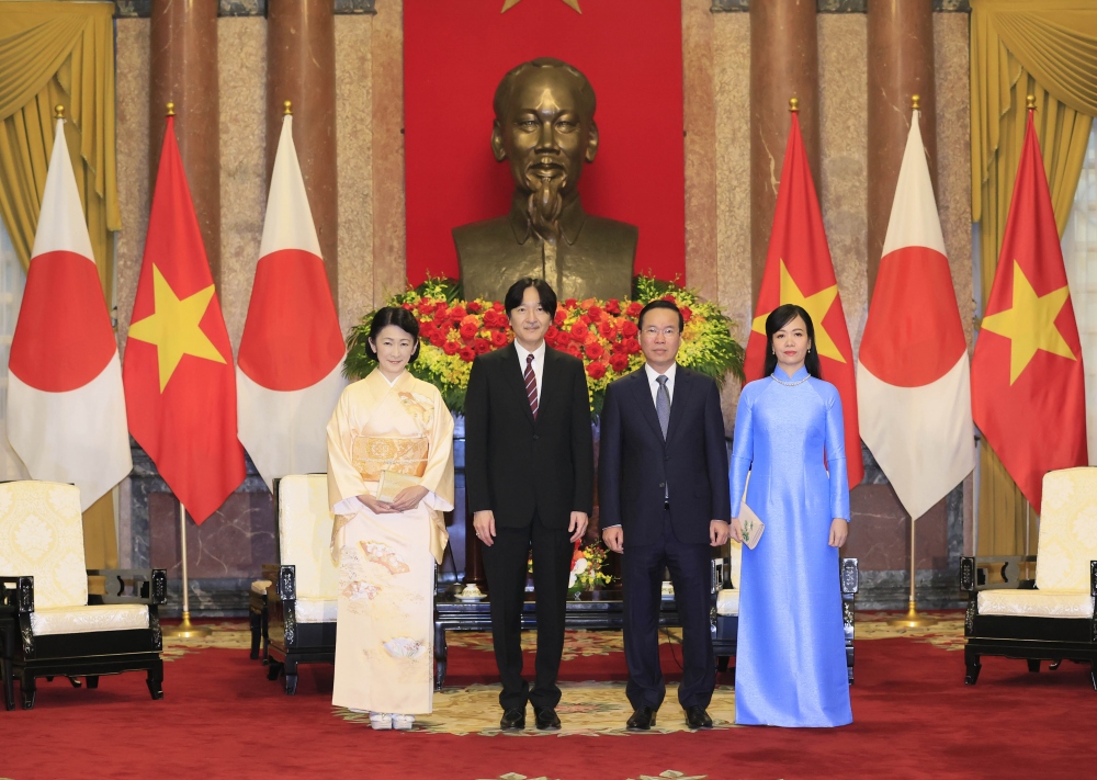 Chủ tịch nước và Phu nhân tiếp Hoàng Thái tử và Công nương Nhật Bản - Ảnh 2.