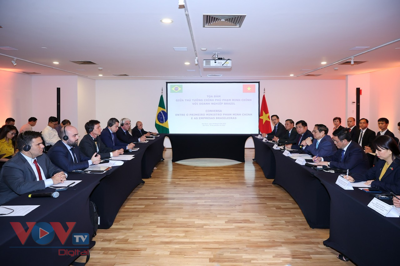 Thủ tướng Chính phủ Phạm Minh Chính tọa đàm với doanh nghiệp Brazil - Ảnh 5.