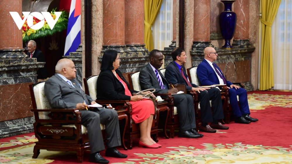 Chủ tịch Quốc hội Cuba hội kiến Chủ tịch nước Võ Văn Thưởng - Ảnh 6.