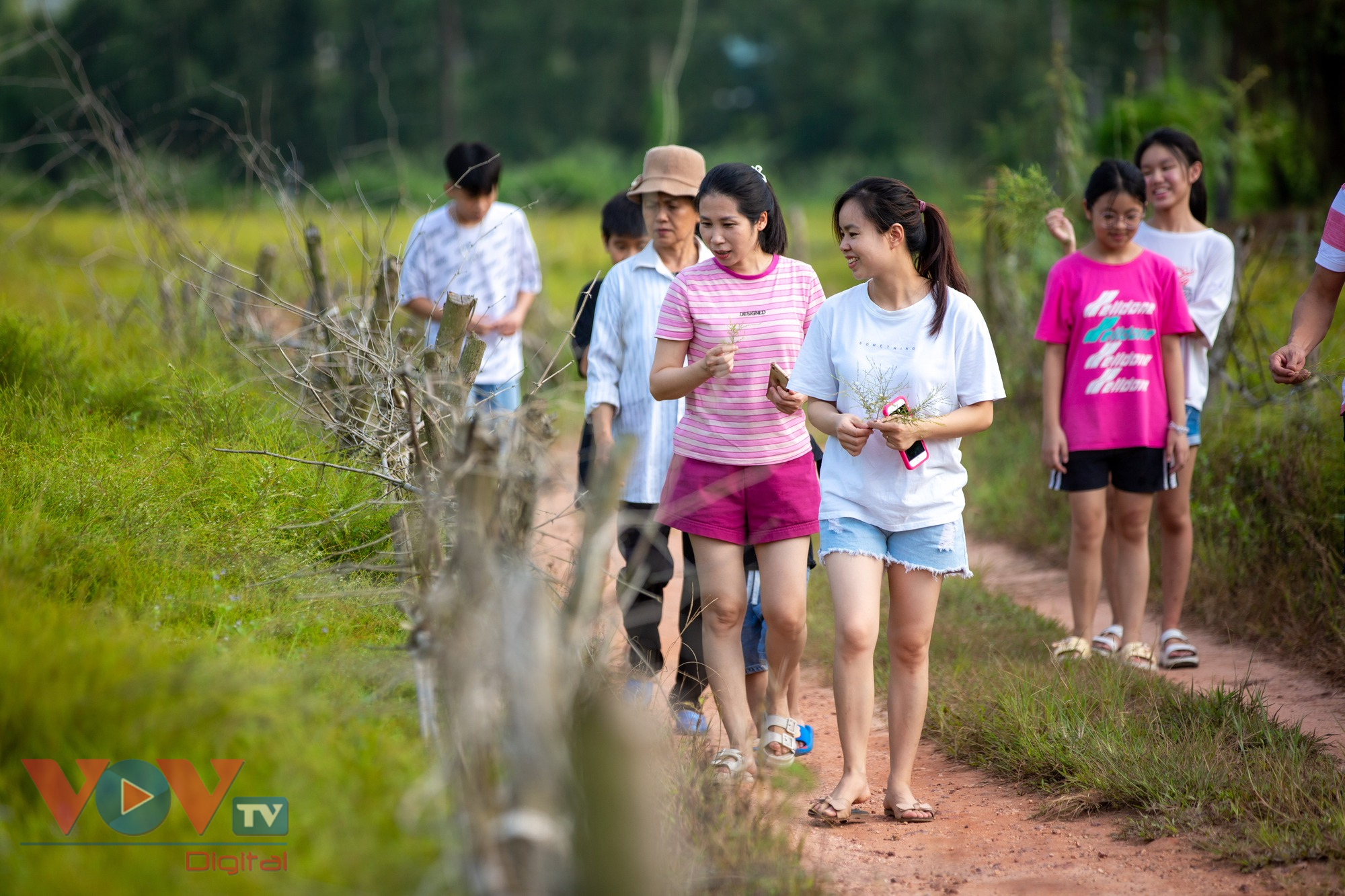 Check-in cánh đồng rễ đẹp mơ màng ở Chí Linh, Hải Dương - Ảnh 17.