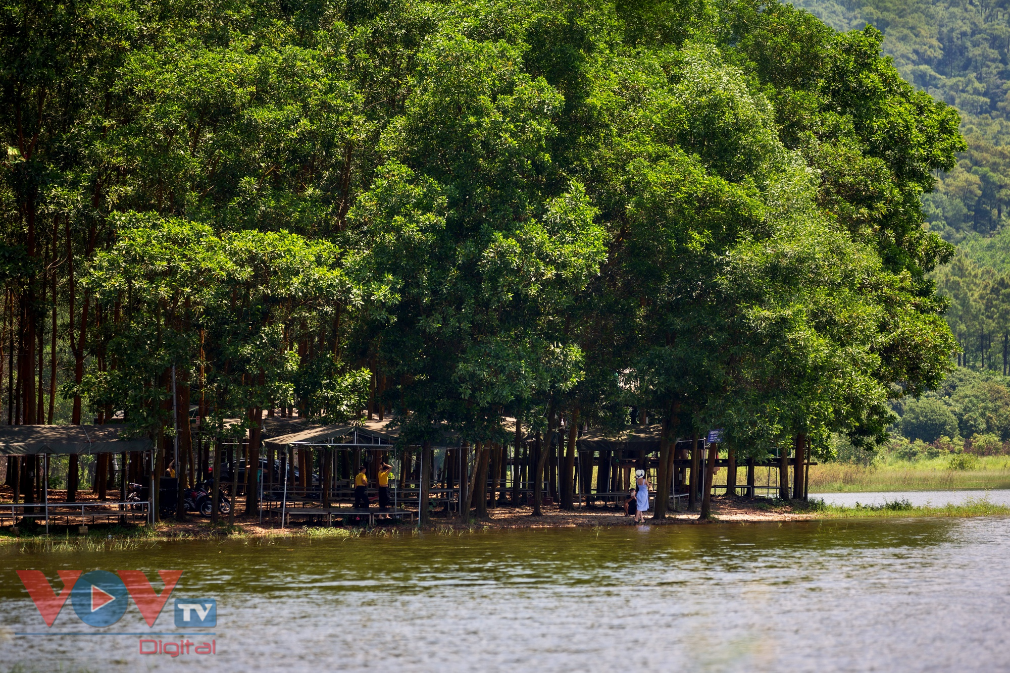 Hồ Yên Trung: Tiềm năng phát triển du lịch dưới tán rừng - Ảnh 11.