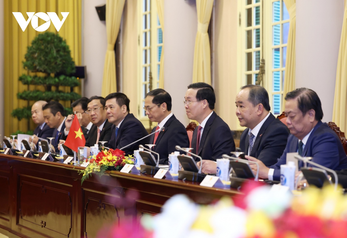 Toàn cảnh lễ đón Tổng thống Indonesia thăm cấp Nhà nước tới Việt Nam- Ảnh 7.