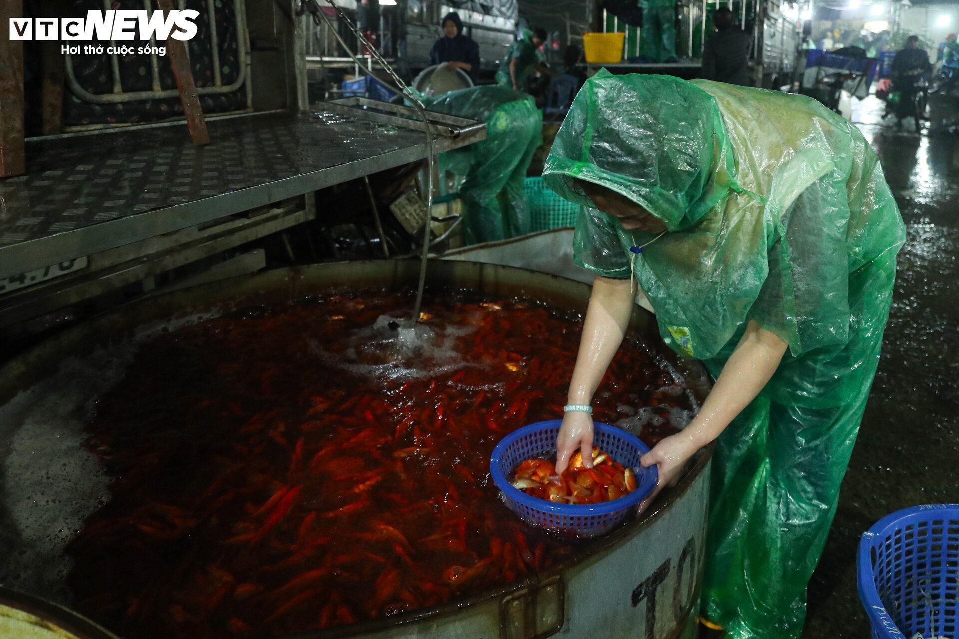 Chợ cá lớn nhất Hà Nội buôn bán xuyên đêm trước ngày ông Công, ông Táo- Ảnh 4.