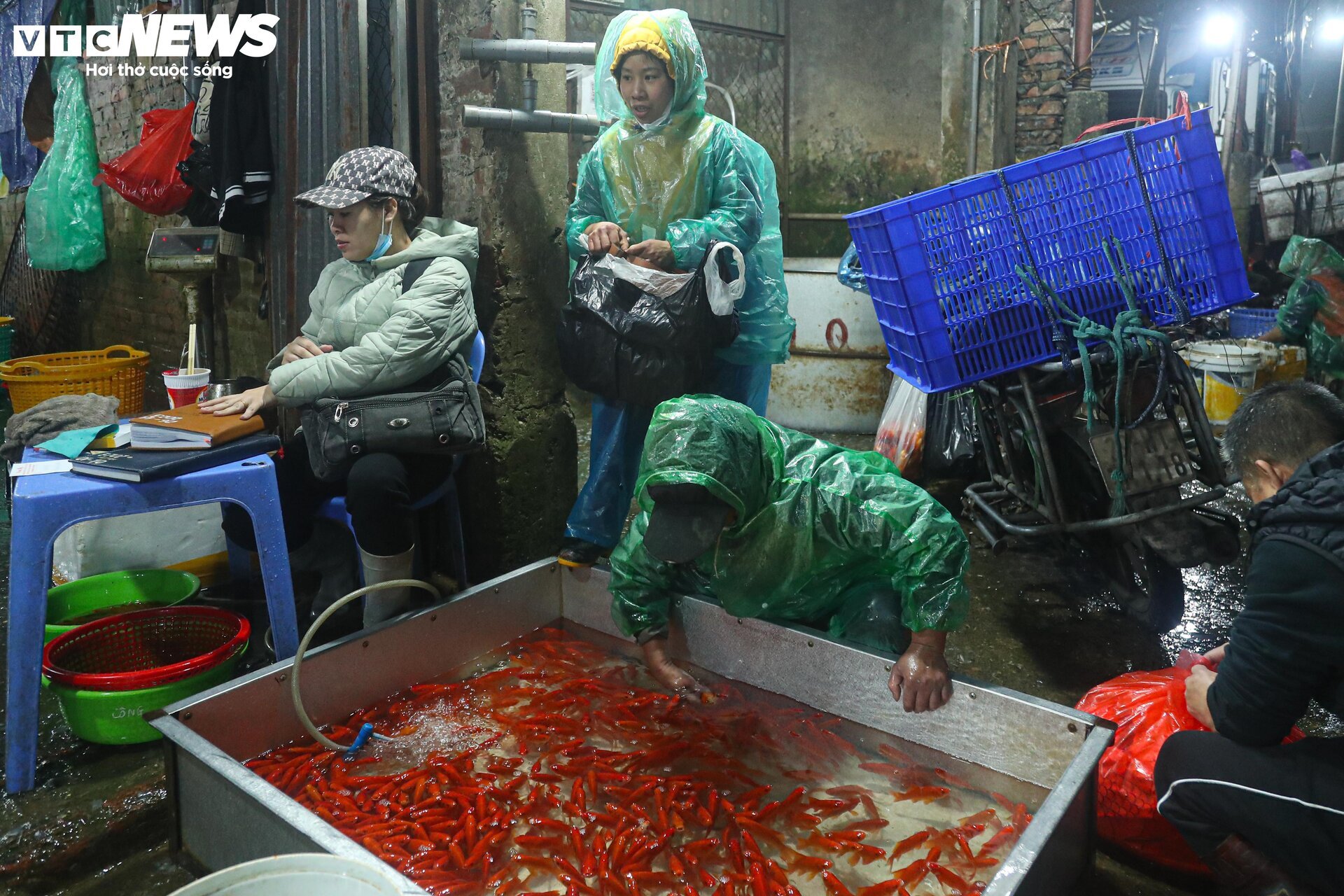 Chợ cá lớn nhất Hà Nội buôn bán xuyên đêm trước ngày ông Công, ông Táo- Ảnh 11.