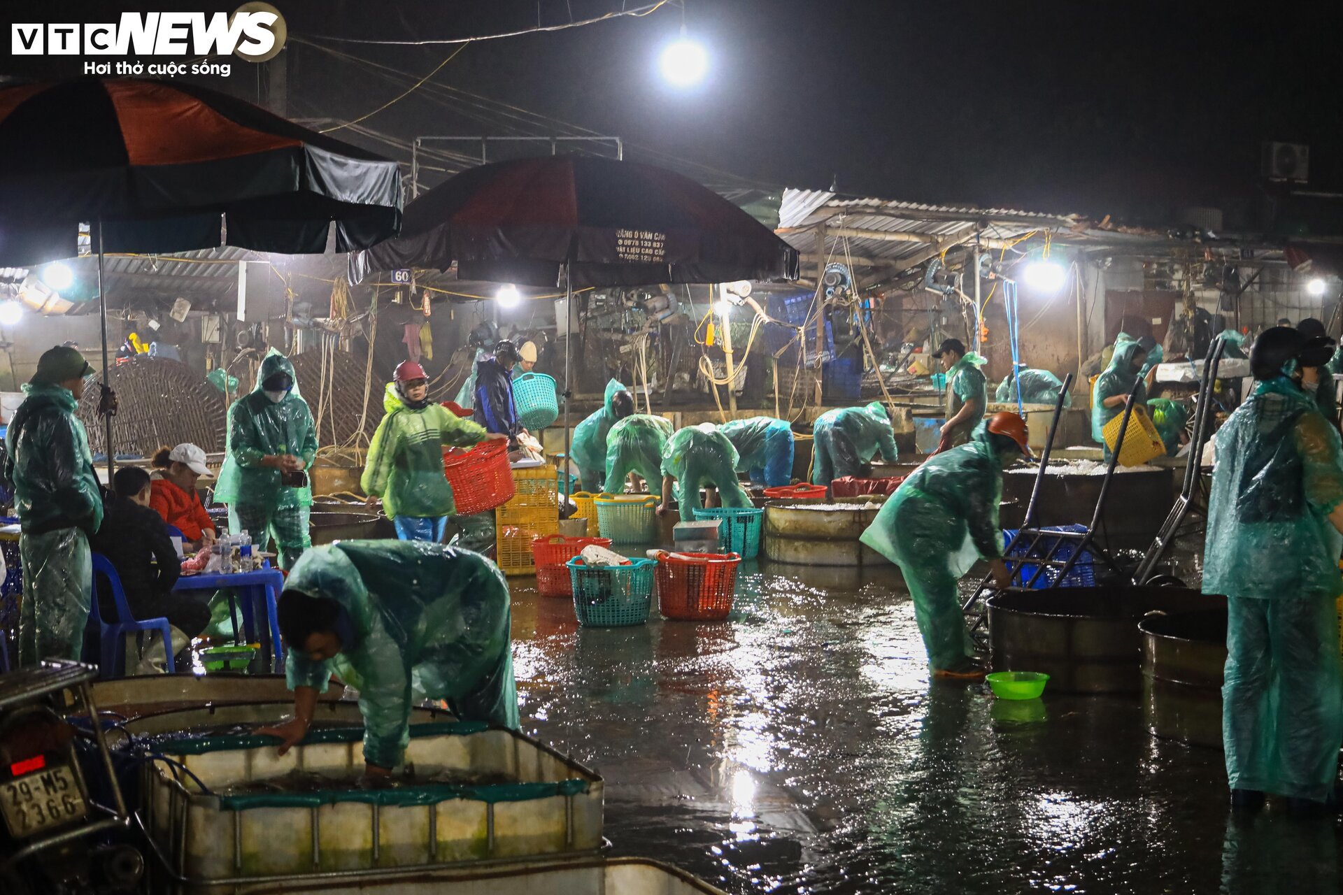 Chợ cá lớn nhất Hà Nội buôn bán xuyên đêm trước ngày ông Công, ông Táo- Ảnh 2.