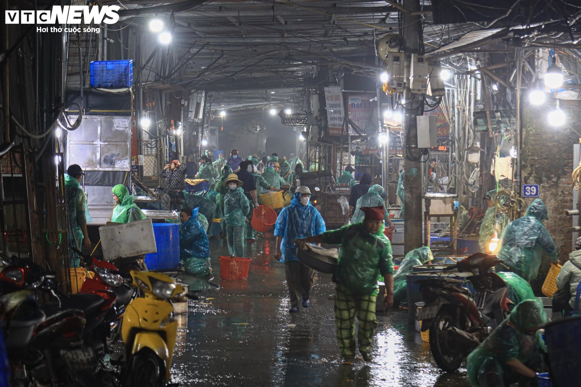Chợ cá lớn nhất Hà Nội buôn bán xuyên đêm trước ngày ông Công, ông Táo- Ảnh 1.