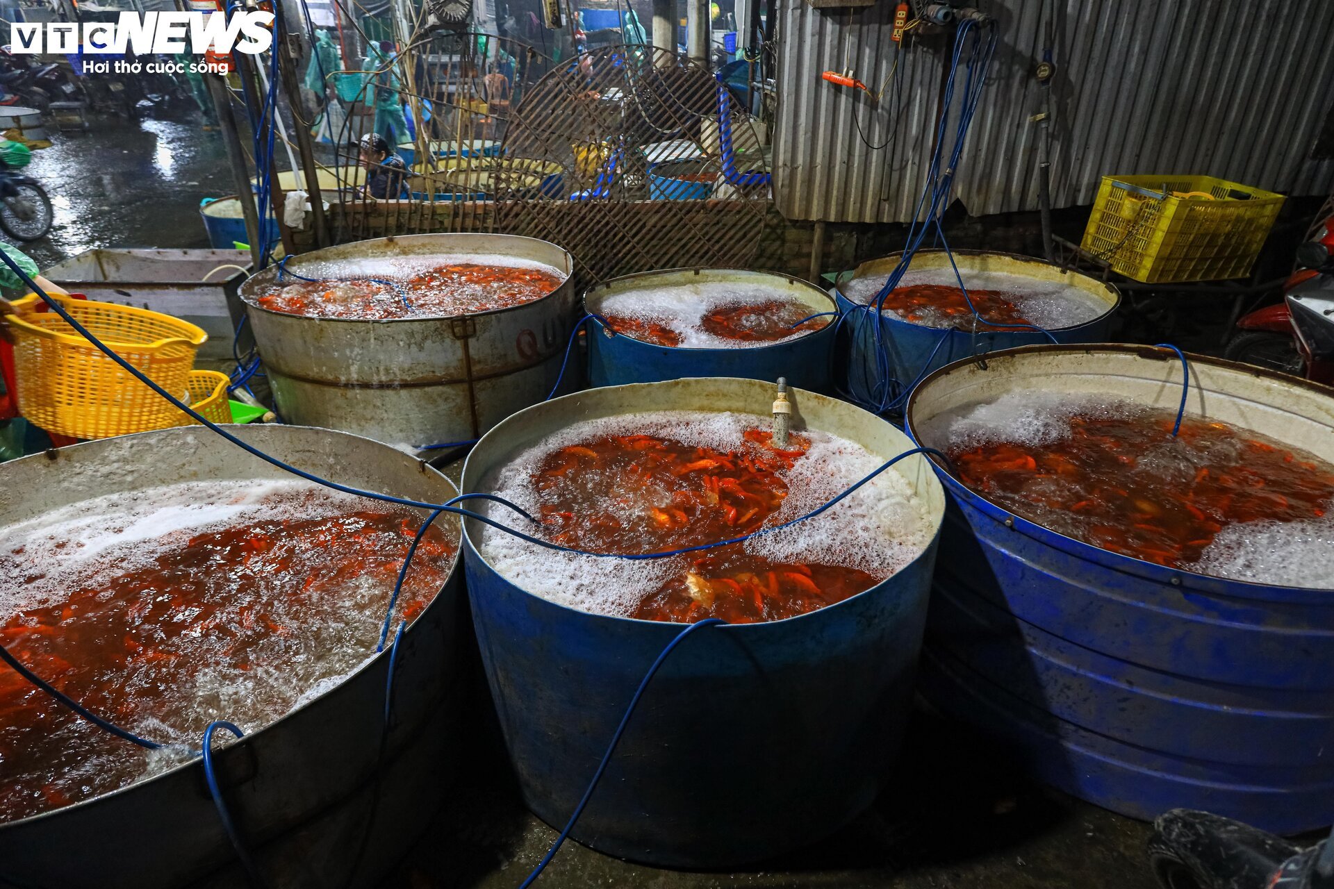 Chợ cá lớn nhất Hà Nội buôn bán xuyên đêm trước ngày ông Công, ông Táo- Ảnh 14.