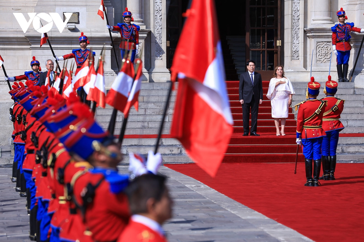 Tổng thống Peru chủ trì lễ đón Chủ tịch nước Lương Cường- Ảnh 8.