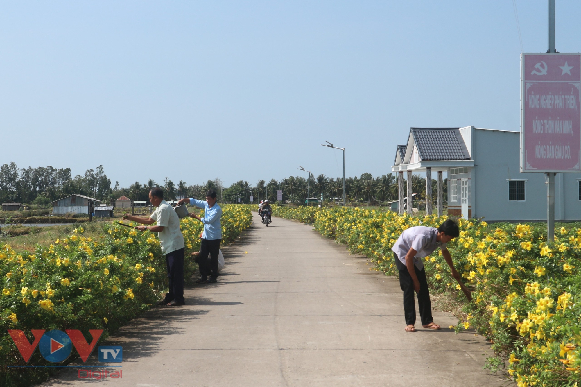 Chùm ảnh: Những tuyến đường nông thôn mới kiểu mẫu phủ đầy hoa rực rỡ ở Sóc Trăng- Ảnh 1.