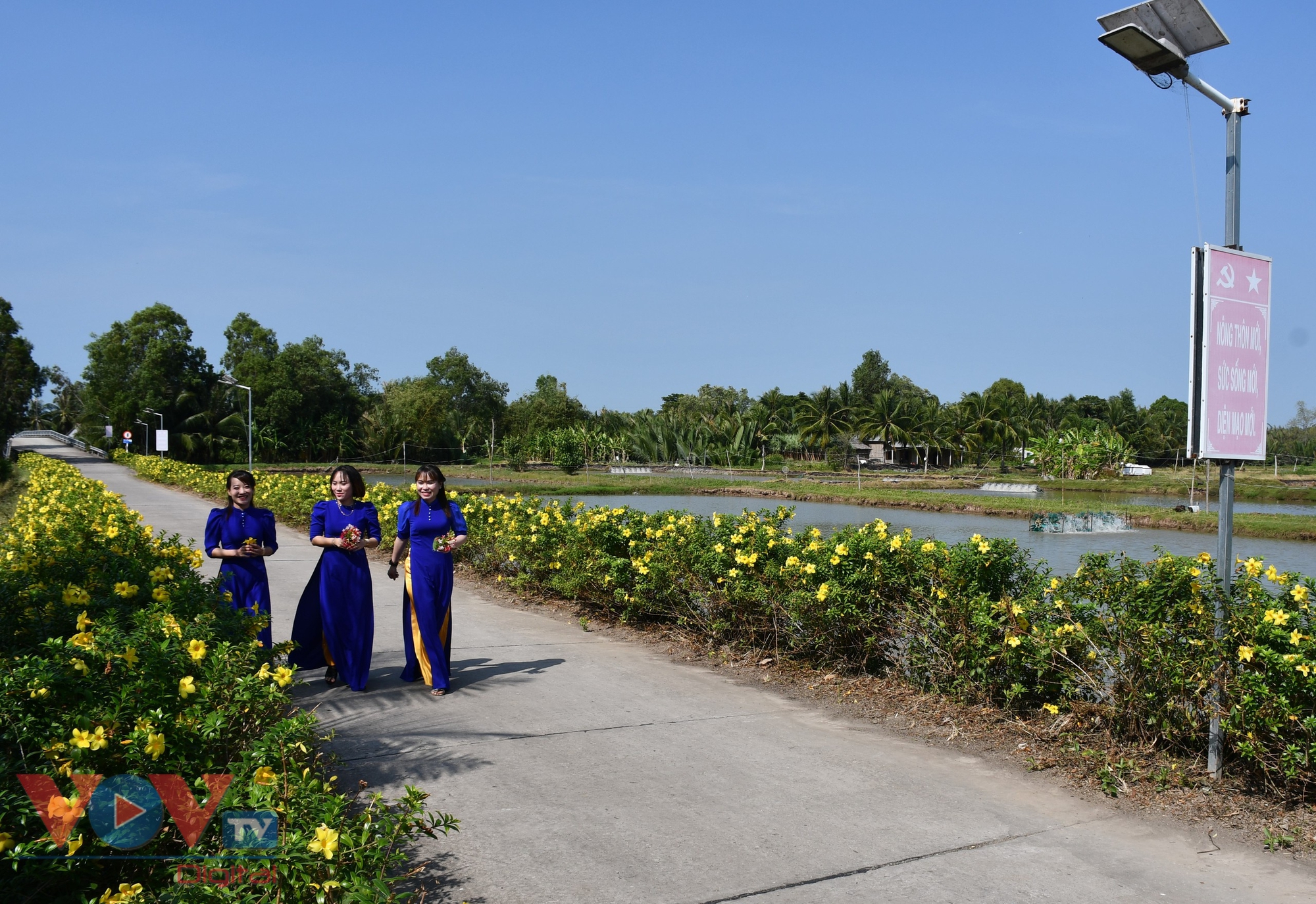 Chùm ảnh: Những tuyến đường nông thôn mới kiểu mẫu phủ đầy hoa rực rỡ ở Sóc Trăng- Ảnh 3.