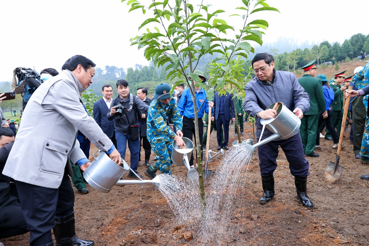 Thủ tướng yêu cầu tổ chức 'Tết trồng cây đời đời nhớ ơn Bác Hồ' thiết thực, hiệu quả- Ảnh 1.