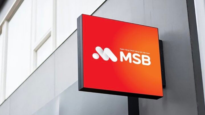 Hai khách hàng bị mất hơn 86 tỷ đồng trong tài khoản MSB: Thông tin mới nhất- Ảnh 1.