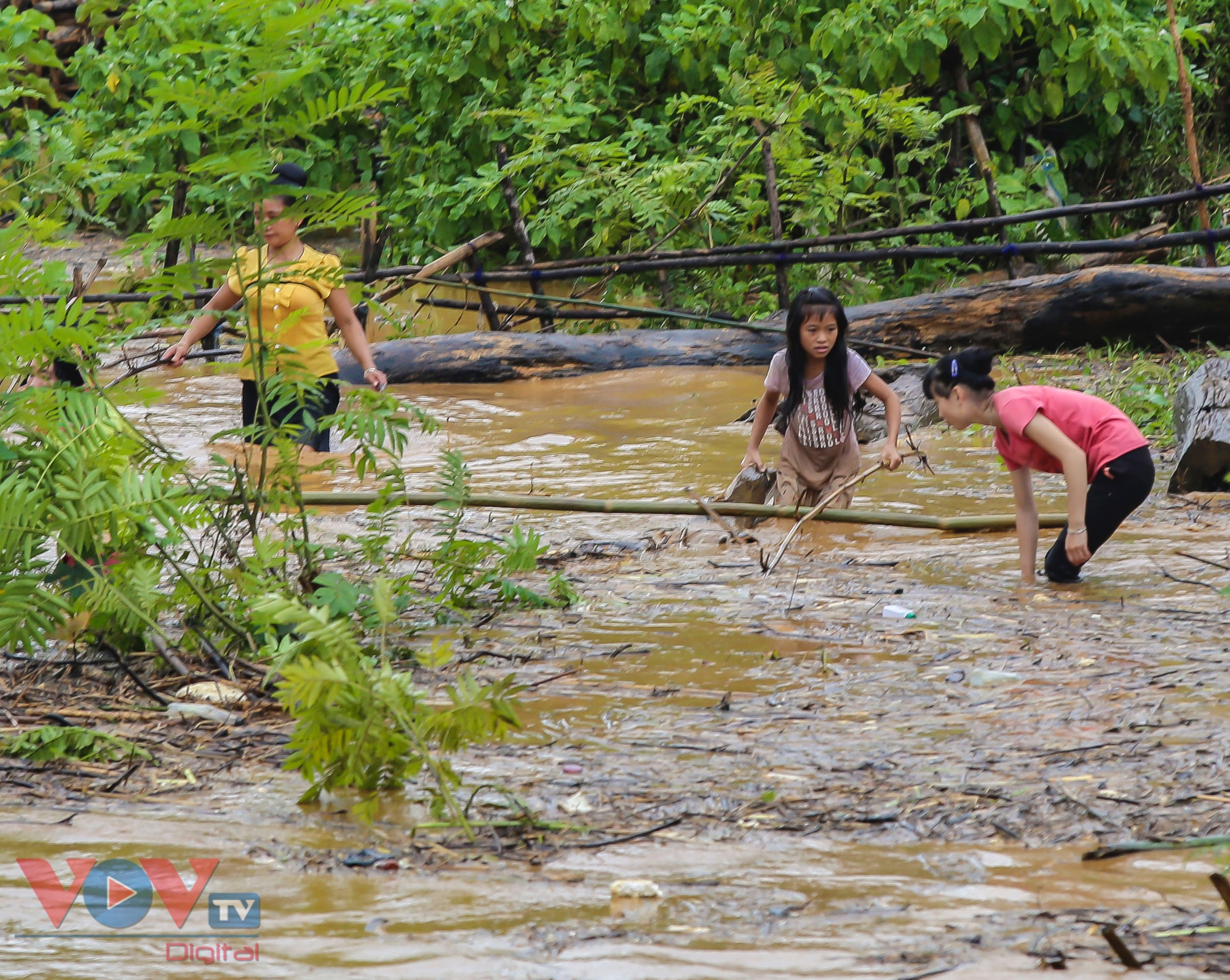 Mặc nước lũ cuồn cuộn, người dân Điện Biên vẫn đua nhau đi vớt củi, bắt cá- Ảnh 3.