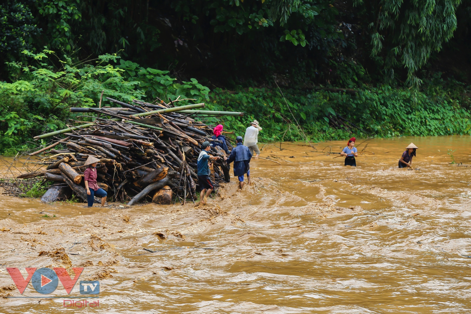 Mặc nước lũ cuồn cuộn, người dân Điện Biên vẫn đua nhau đi vớt củi, bắt cá- Ảnh 8.