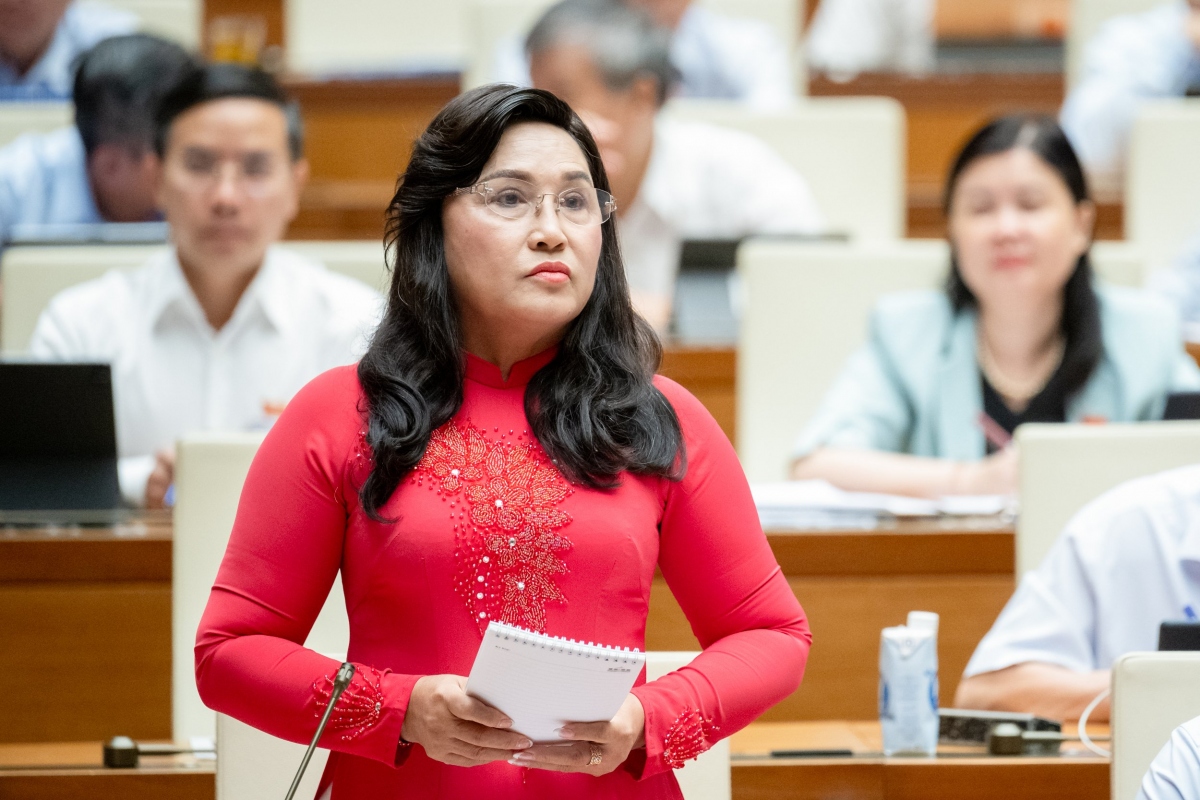 Bộ trưởng Đặng Quốc Khánh: 'Đồng bằng sông Cửu Long vẫn đang tự lún'- Ảnh 1.