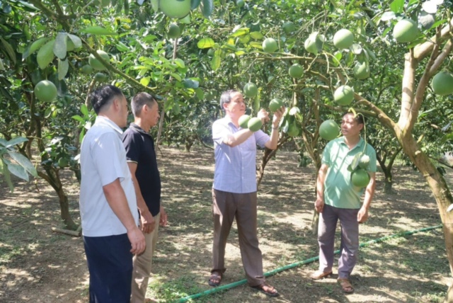 Giữ gìn bản sắc văn hóa dân tộc Cao Lan tại Tuyên Quang- Ảnh 2.